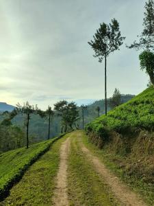 a dirt road on top of a hill with trees at Water Side Residence in Adams Peak