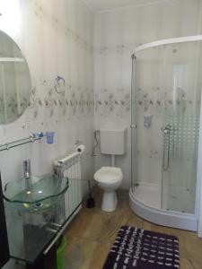 a bathroom with a shower and a toilet and a sink at Cabana Telescaun in Petroşani