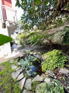 Κήπος έξω από το Villa Aguacate +20 φωτογραφίες
