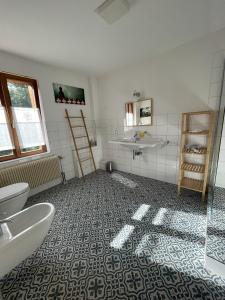 Le Manoir des Sens - Forêt de Bergheim في تينانْكيرْكْ: حمام مع مرحاض ومغسلة