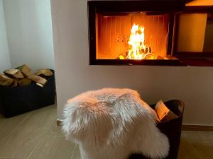 Fotografie z fotogalerie ubytování Villa Paradiz v destinaci Labin