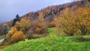a hillside with trees and a road in a field at ECOLE de BELMONT in Le Haut-du-Them
