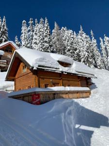 a log cabin covered in snow with trees in the background at Bioblockhaus Katschberg in Katschberghöhe