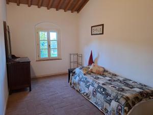 Schlafzimmer mit einem Bett und einem Fenster in der Unterkunft Casa Daria, Armonia del Passato nel rispetto della natura in Donoratico