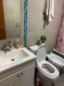 een badkamer met een toilet en een wastafel bij Dpto temporal amueblado con yacuzzi in San Lorenzo