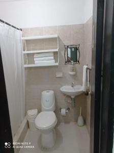 サン・アンドレスにあるPosada Miss Mazieの小さなバスルーム(トイレ、シンク付)