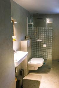W łazience znajduje się toaleta, umywalka i prysznic. w obiekcie Les chambres de la Dourbie w mieście Nant
