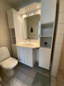 uma casa de banho com um WC, um lavatório e um espelho. em Central Ground Floor Apartment with Parking em Aarhus