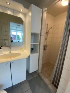 a bathroom with a sink and a shower at Central Ground Floor Apartment with Parking in Aarhus