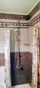 eine Dusche im Bad mit Duschvorhang in der Unterkunft Medusa Apartments in Kateliós