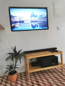 a flat screen tv hanging on a wall with a plant at 4Bs - Birds & Bicycles in Castro Verde