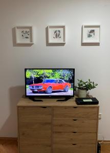 TV i/ili multimedijalni sistem u objektu Apartman Kosta