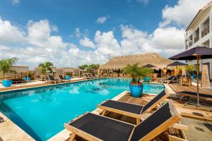 Bazén v ubytování Bloozz resort Bonaire nebo v jeho okolí
