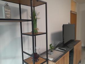 a black book shelf with a television and plants on it at Apartment Amalia in Varaždin