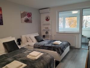 - une chambre avec 2 lits et une fenêtre dans l'établissement Apartment Amalia, à Varaždin