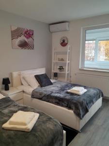 a bedroom with two beds and a window at Apartment Amalia in Varaždin +12 photos