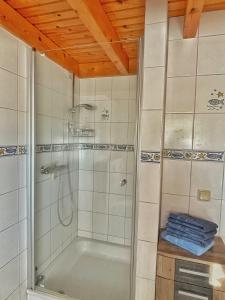 a bathroom with a shower with a glass door at Altes Forsthaus im Harz in Elbingerode