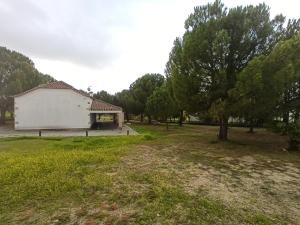 ein weißes Gebäude auf einem Feld mit einem Baum in der Unterkunft CASA DE PERAIS in Perais