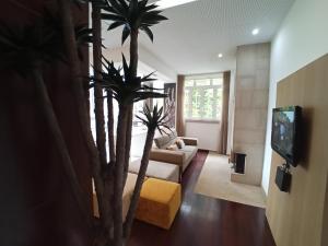 una sala de estar con una palmera y un sofá en CASA DE PERAIS, en Perais