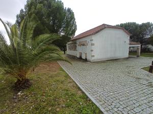 eine Palme neben einem weißen Gebäude in der Unterkunft CASA DE PERAIS in Perais