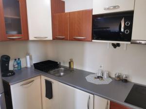 a kitchen with a sink and a microwave at Nice & economic Studio in Baia Mare