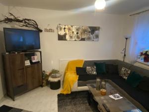 uma sala de estar com um sofá e uma televisão de ecrã plano em Ubytovanie Dana em Piešťany