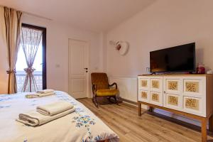 a bedroom with a bed with a television and a chair at Gradina Lu' Ion - Adults Only in Vişeu de Sus