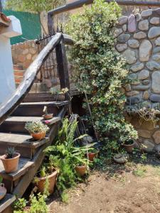 uma escada de madeira com vasos de plantas ao lado de uma parede de pedra em Hostal las Rosas em Salta