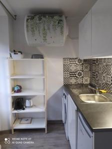 a small kitchen with a sink and a counter at Joli studio au centre d'Uriage in Vaulnaveys-le-Haut