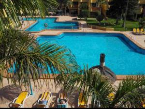 uma vista sobre uma piscina com cadeiras e palmeiras em Corralejo Garden House em La Oliva