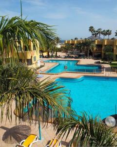 uma grande piscina azul com palmeiras e edifícios em Corralejo Garden House em La Oliva