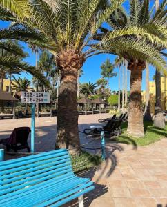 a blue bench in a park with palm trees at Corralejo Garden House in La Oliva