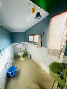 baño con lavabo verde y aseo en Neer Stays en Munsyari