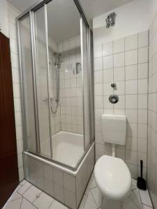 a bathroom with a shower and a toilet in it at Ferienwohnung Bördeblick in Barby
