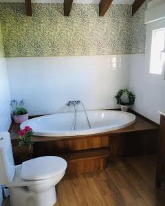 a bathroom with a white tub and a toilet at La casa de verano Cudillero in Cudillero