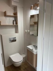 a small bathroom with a toilet and a sink at Apartament nad jeziorem in Pszczew