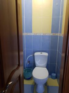 ein Bad mit WC in einem blau gefliesten Zimmer in der Unterkunft Дом для Души с бассейном целиком in Winnyzja