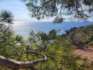 a view of the ocean from a tree at Village Cap Estérel Agay St Raphaël vue mer et piscine in Agay - Saint Raphael