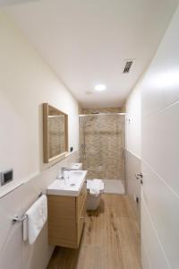 a bathroom with a sink and a shower at Apartamentos San Lazaro in Santiago de Compostela