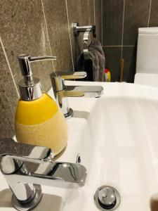 a soap dispenser sitting on a bathroom sink at Hideaway between Coast and Moors in a beautiful Village apartment in Sleights