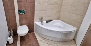 Kúpeľňa v ubytovaní Apartament Kaczyniec 10