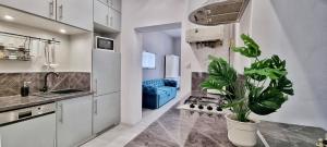 Kuchyňa alebo kuchynka v ubytovaní Apartament Kaczyniec 10