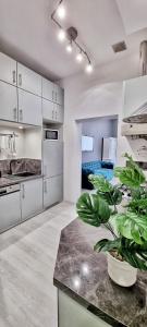 eine Küche mit weißen Schränken und einer Topfpflanze in der Unterkunft Apartament Kaczyniec 10 in Gliwice