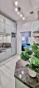 Kuchyňa alebo kuchynka v ubytovaní Apartament Kaczyniec 10