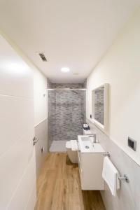 a bathroom with a toilet and a sink and a shower at Apartamentos San Lazaro in Santiago de Compostela