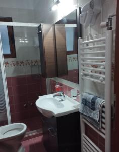 a bathroom with a sink and a toilet and a mirror at Casa D' Irene in Karpenisi +39 photos