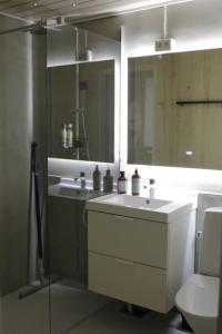 a bathroom with a sink and a mirror and a toilet at Lovely two room unit with free parking in Kuopio