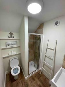 a bathroom with a shower and a toilet and a sink at Cosy 2 bedroom cottage in Llanuwchllyn