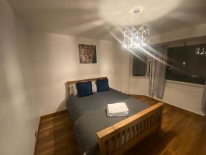 a bedroom with a bed with blue pillows and a window at Bramcote 3 bedroom house in Bramcote