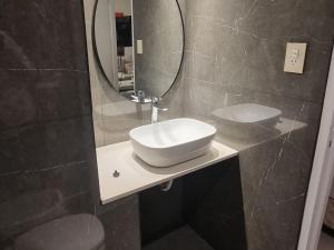 a bathroom with a sink and a mirror at Recoleta Classic in Buenos Aires